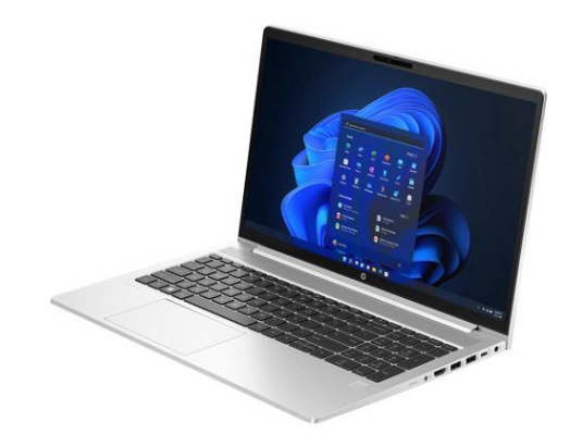 HP ProBook 455 G10 15" (7P3B5UT)